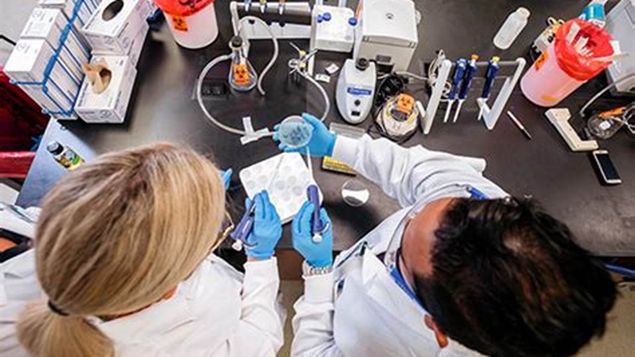 Unleash Your Biotech Potential: A Guide to Online Master's Programs