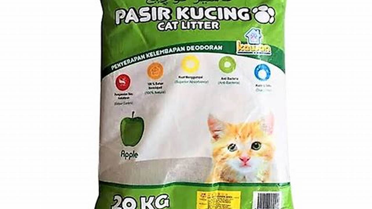 Jenis Pasir Kucing Terbaik dan Cocok untuk Kucing