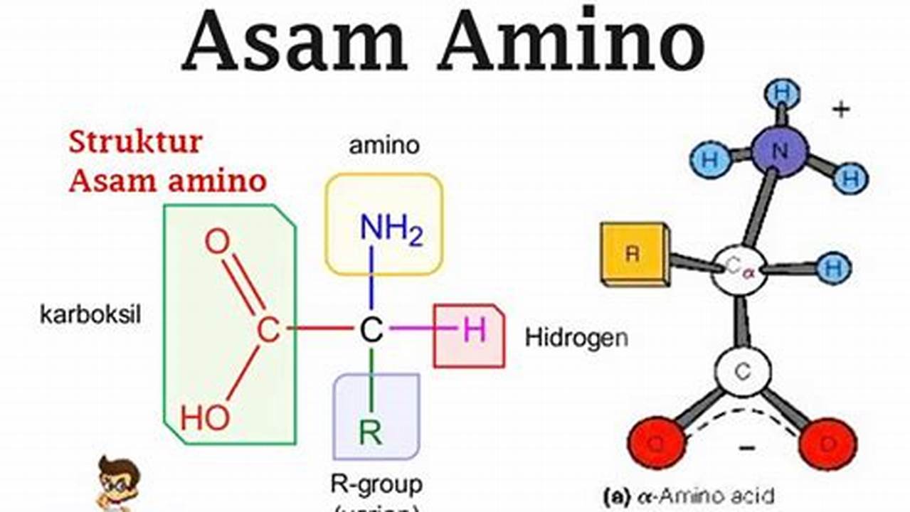 Pahami Asam: Kunci Penemuan dan Wawasan Baru