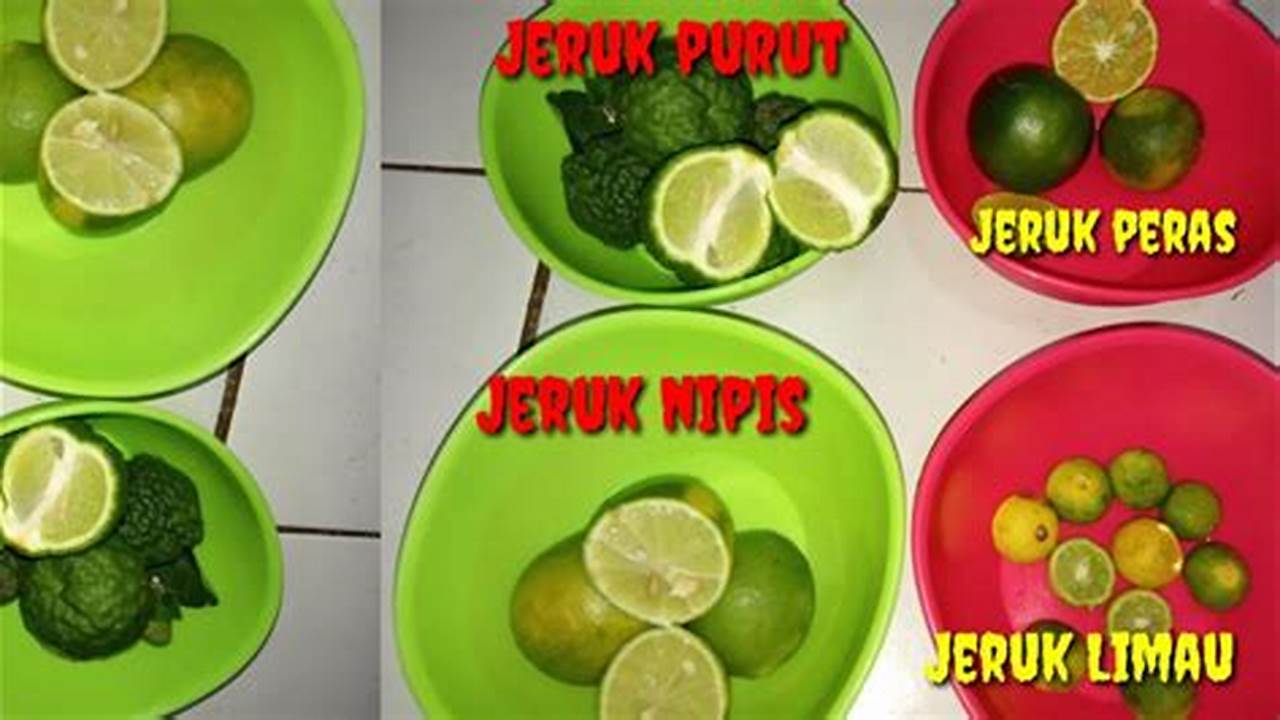 Temukan Perbedaan Mencengangkan Jeruk Nipis dan Jeruk Pecel, Rahasia Kuliner Terungkap!