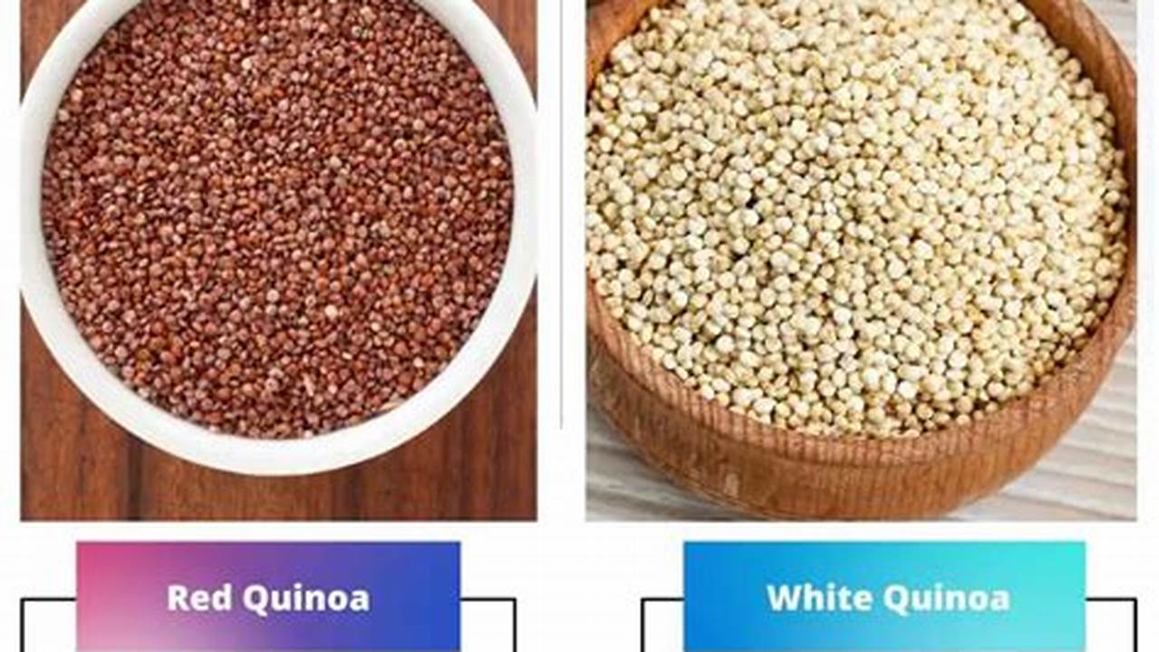 Panduan Lengkap Perbedaan Quinoa Merah dan Putih