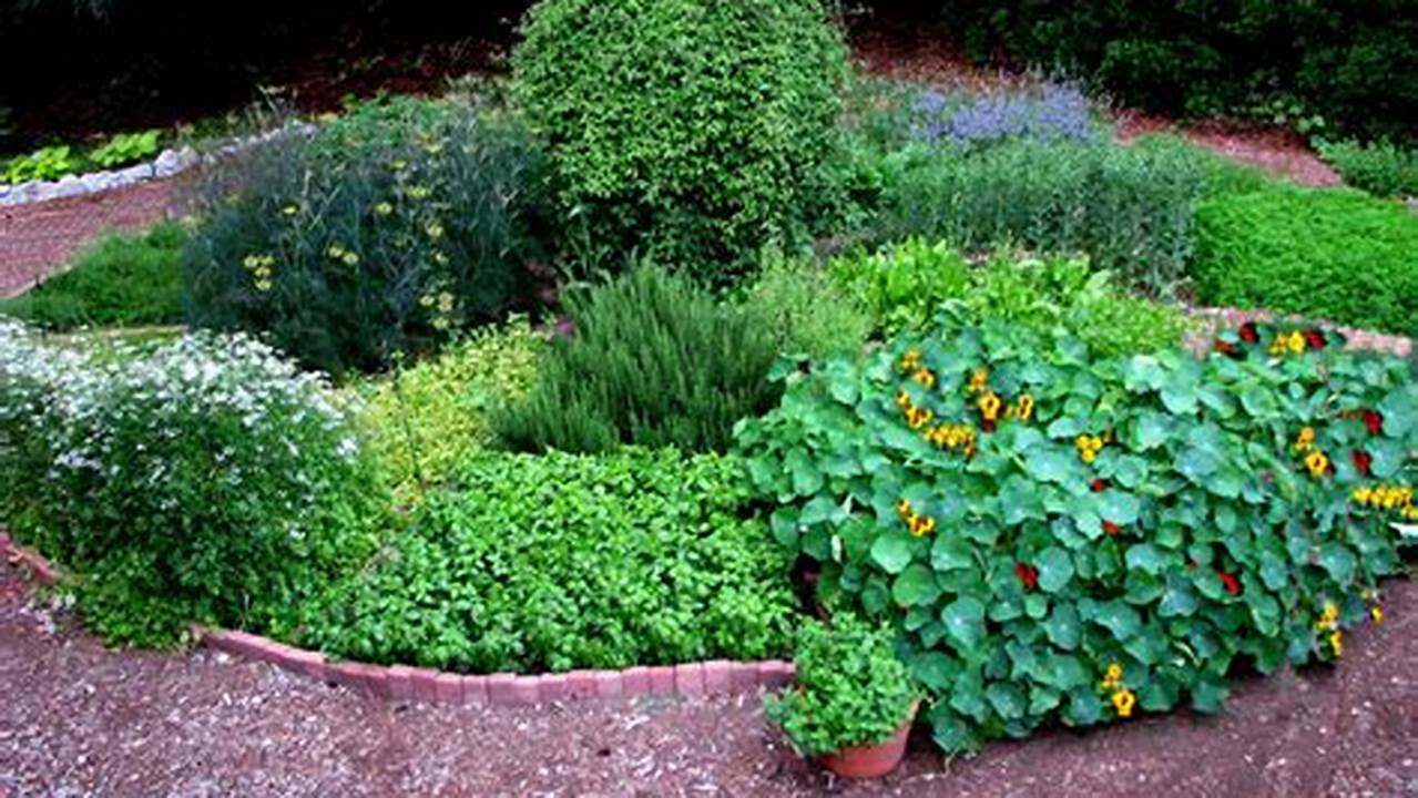 Unveiling the Secrets of Perennial Herb Garden Design: A Journey to Discover Hidden Gems