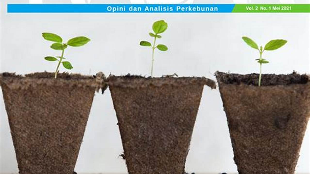 Pertanian Berkelanjutan Indonesia: Inovasi dan Wawasan Menjanjikan