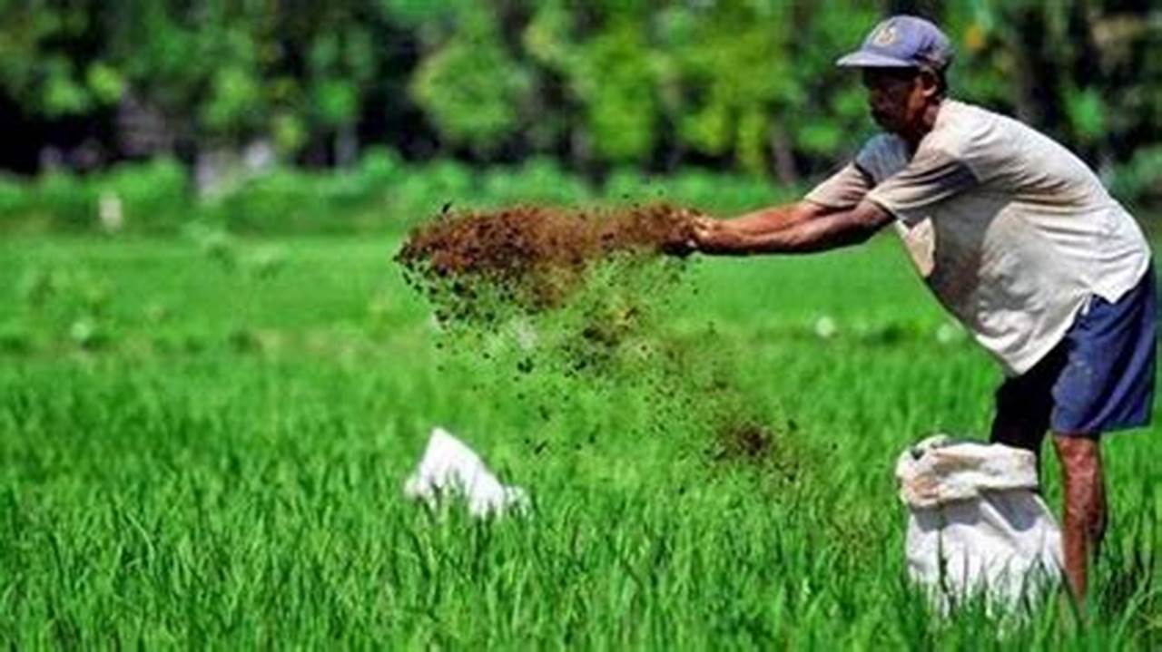 Pertanian Contohnya: Penemuan dan Wawasan Menjanjikan untuk Pertanian Indonesia