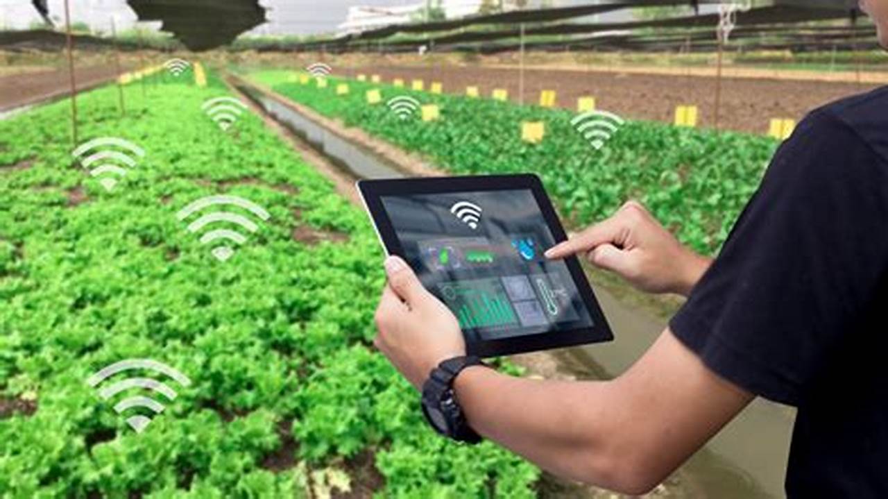 Pertanian IoT: Inovasi Mengubah Masa Depan Pertanian