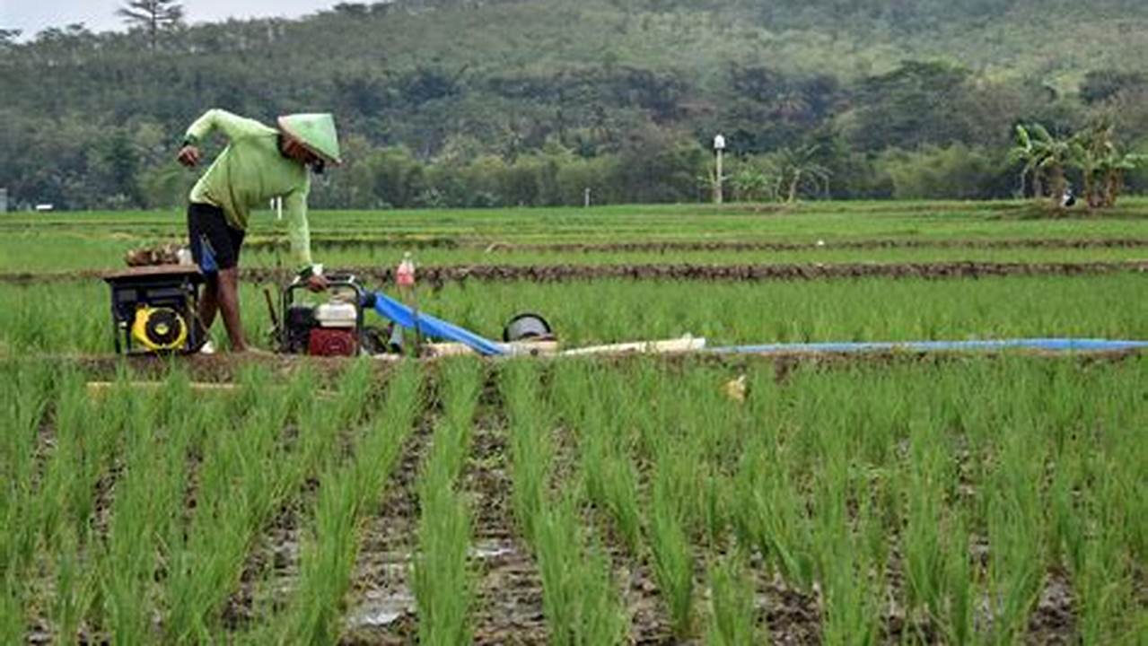 Pertanian Malaysia: Temukan Rahasia untuk Pertanian Sukses dan Berkelanjutan