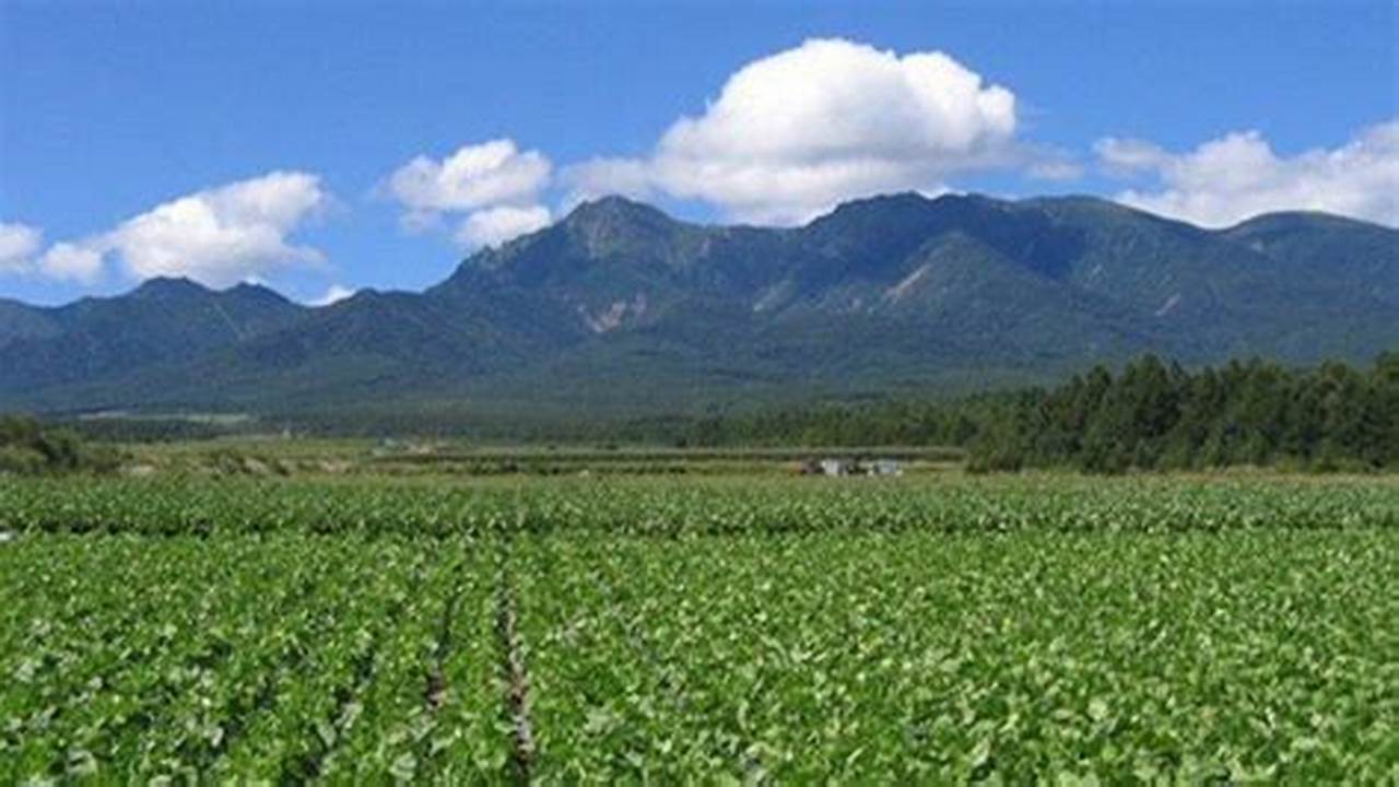 Pertanian Nagano Jepang: Temukan Rahasia & Wawasannya!