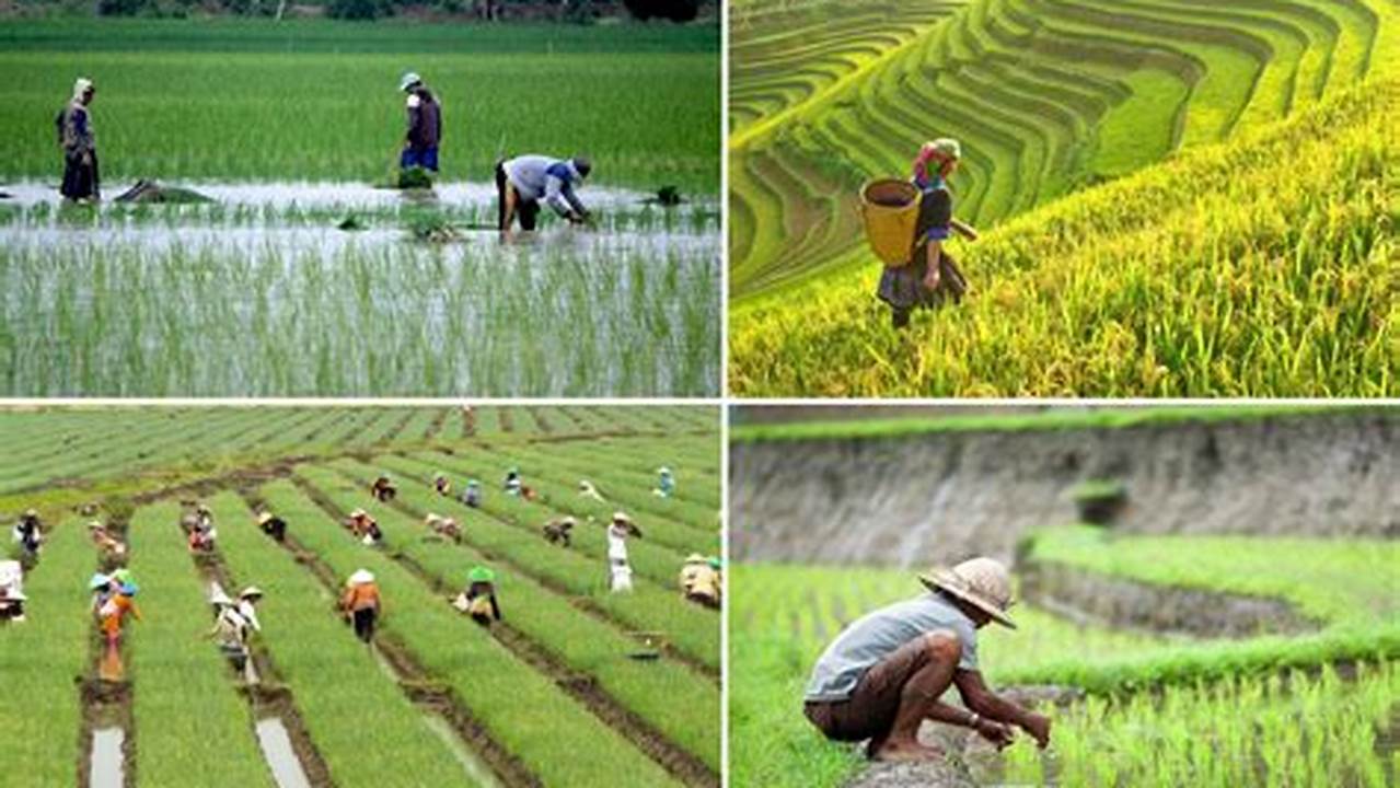 Petani Ungkap Rahasia Pertanian Ramah Lingkungan