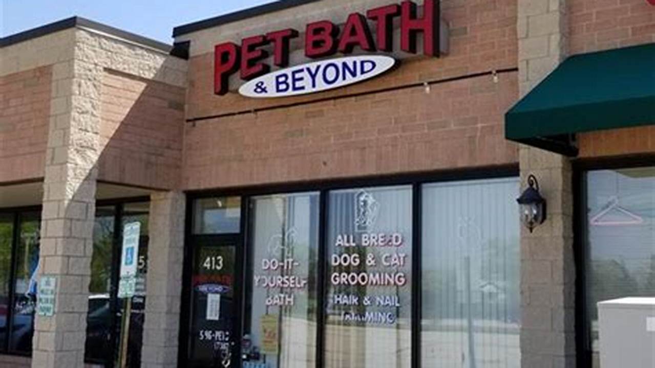 Unveil the Secrets of Pet Bathing and Beyond: A Comprehensive Guide for Pet Owners