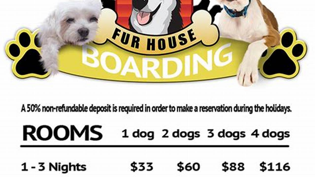 Discover the Cheapest Pet Boarding Options in NYC + Save up to 40%!