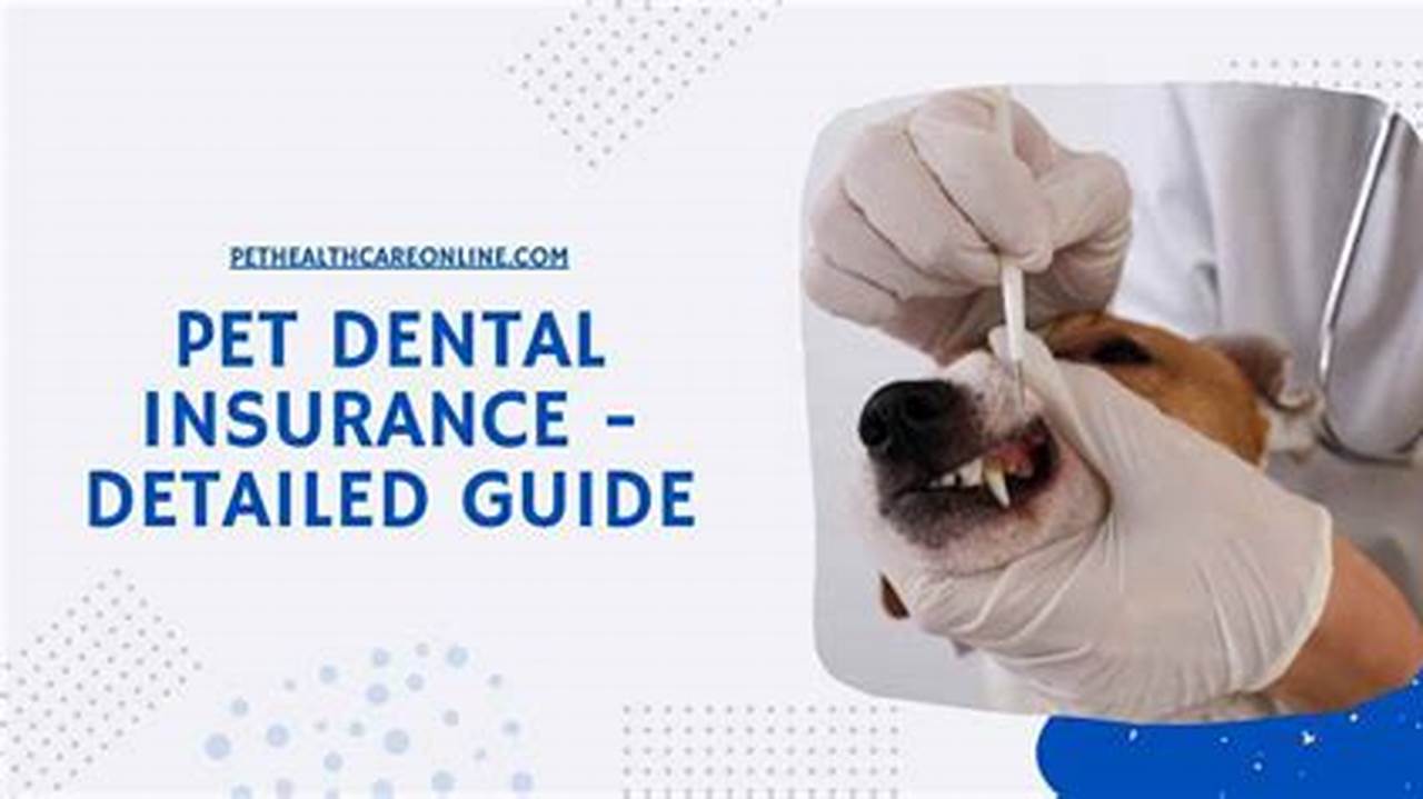 How to Choose the Best Pet Dental Insurance in Iowa