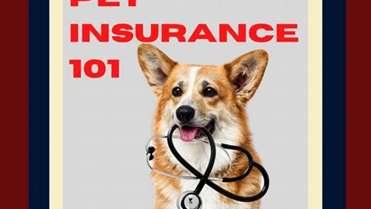 Essential Pet Insurance Tips for Iowa Pet Owners
