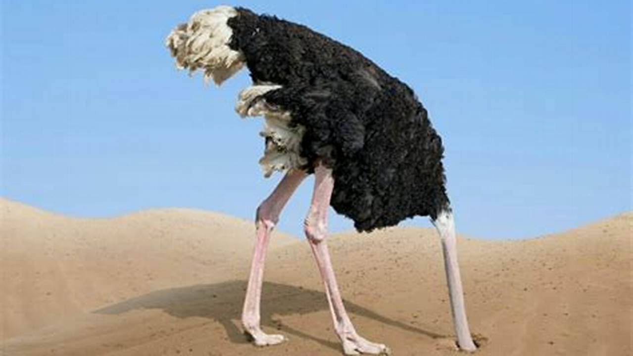 Uncover Hidden Truths: The Ostrich Conundrum and Its Profound Insights