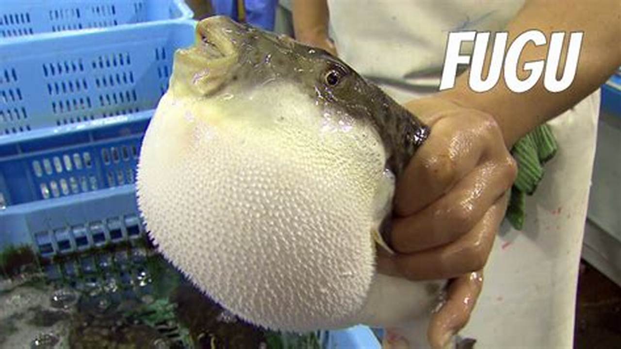 Dive into the Delicacy and Danger: A Traveler's Guide to Poisonous Fugu in Japan