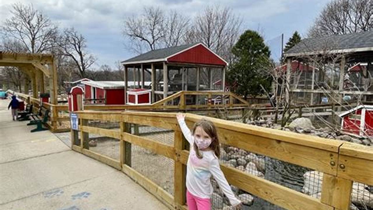 Discover a Zoo Oasis: Randall Oaks Petting Zoo in West Dundee, IL