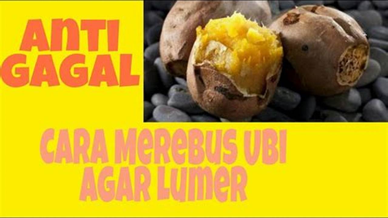 Rahasia Rebus Ubi Cilembu Nikmat, Lembut & Manis!