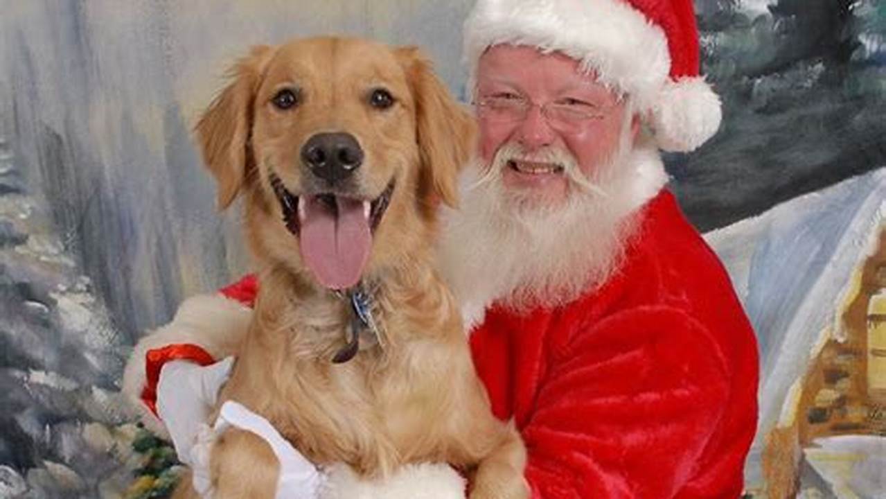Unveiling the Magic of Santa Pictures with Pets: Discoveries and Insights