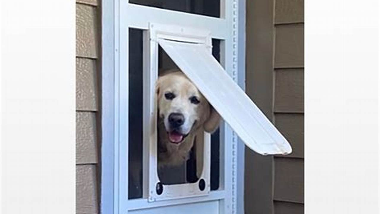 Unlock the Secrets of Screen Doors with Pet Doors: Your Ultimate Guide to Pet-Friendly Convenience