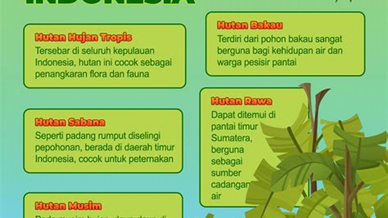 Temukan 3 Manfaat Hutan yang Harus Anda Ketahui