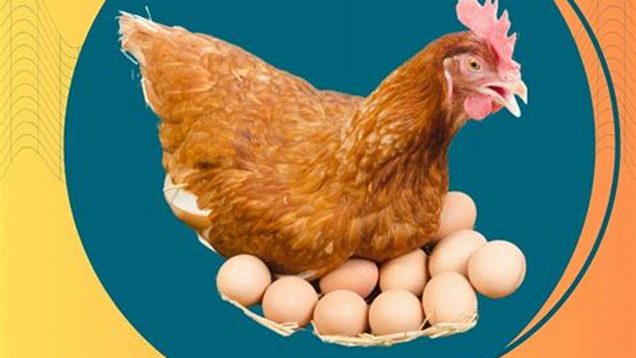 Terungkap! Rahasia di Balik Telur Ayam yang Menetas