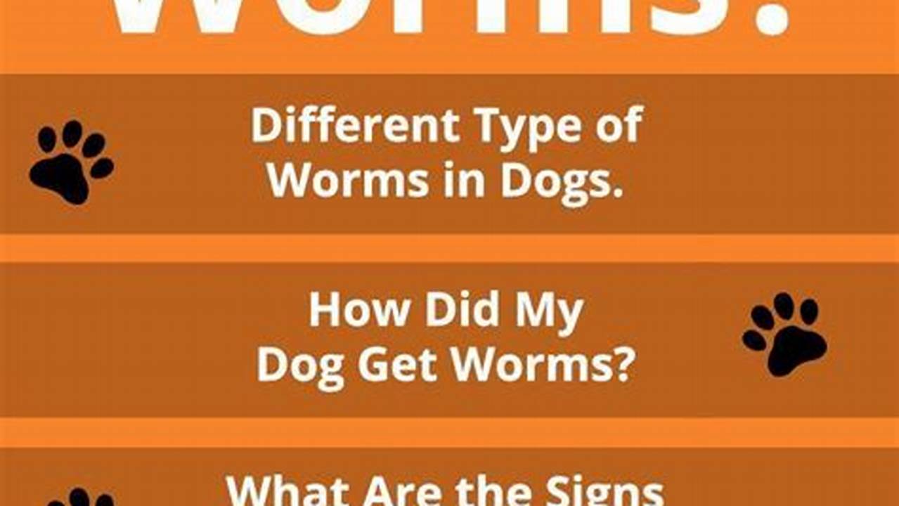 How to Spot the Signs Your Dog Has Worms: A Guide for Pet Owners