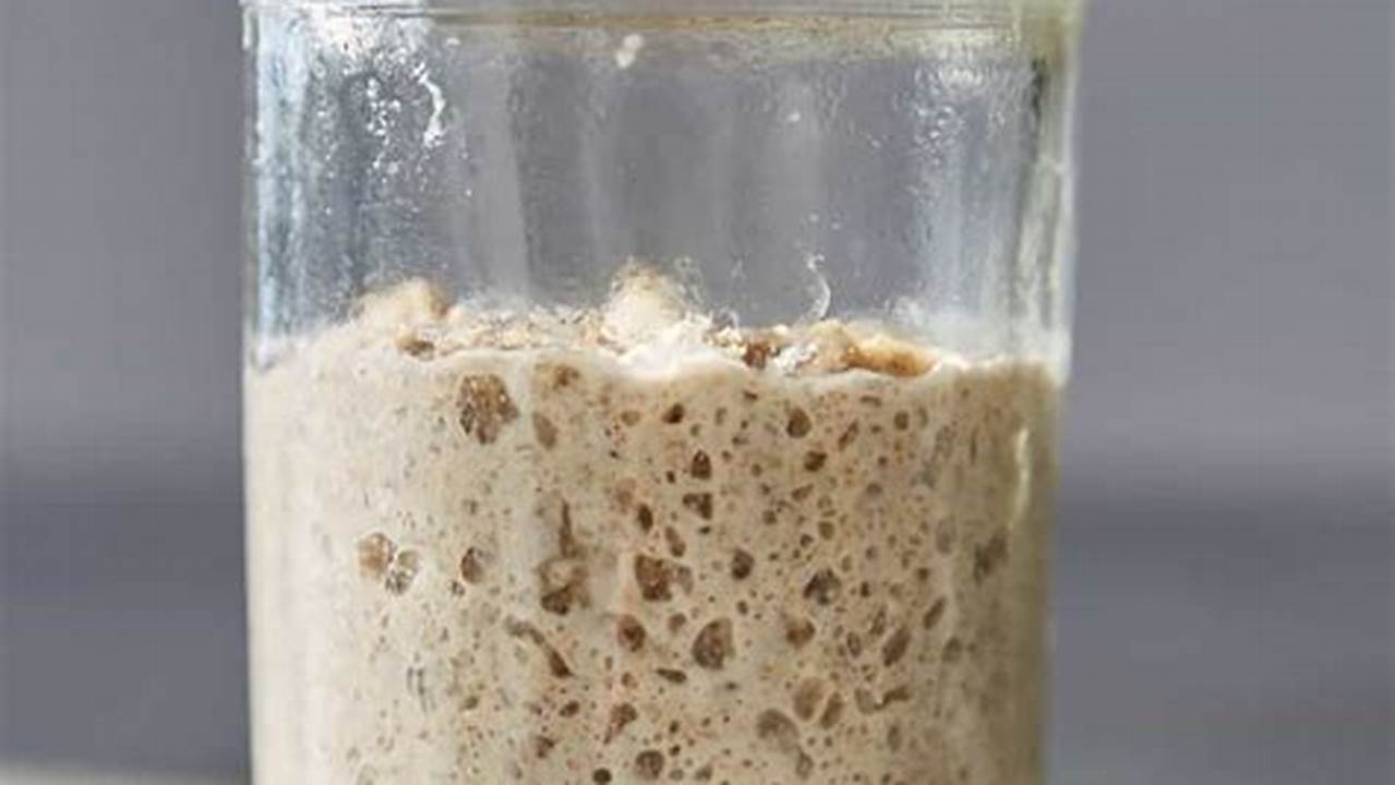 Sourdough Starter 25g: A Baker's Guide to Flavorful Breads