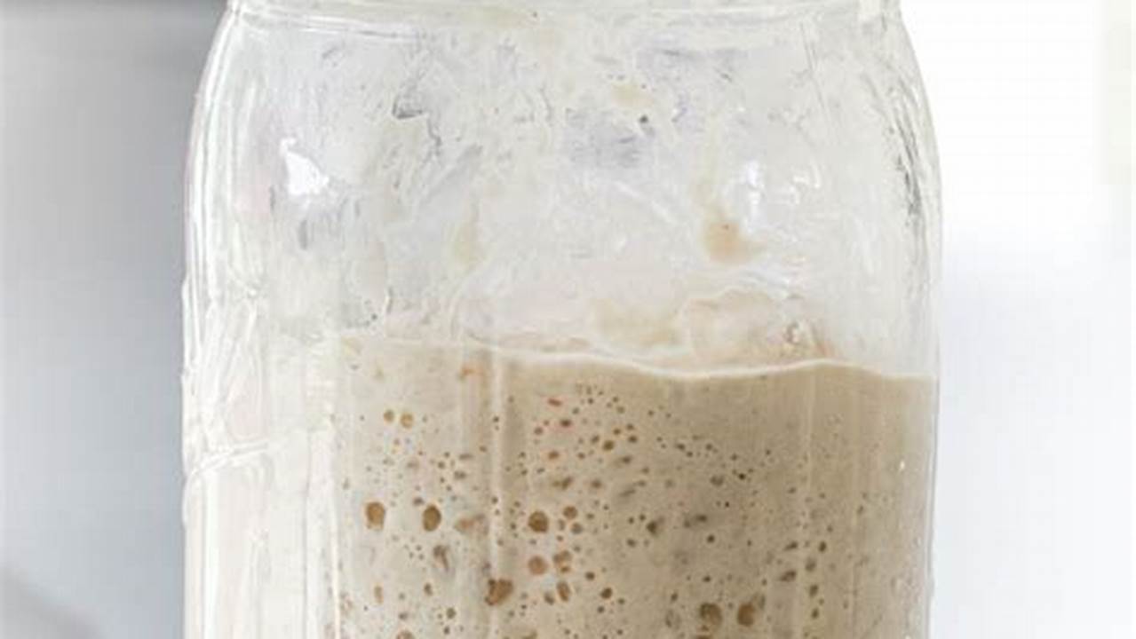 Sourdough Starter Jar: A Beginner's Guide to Crafting Tangy Bread