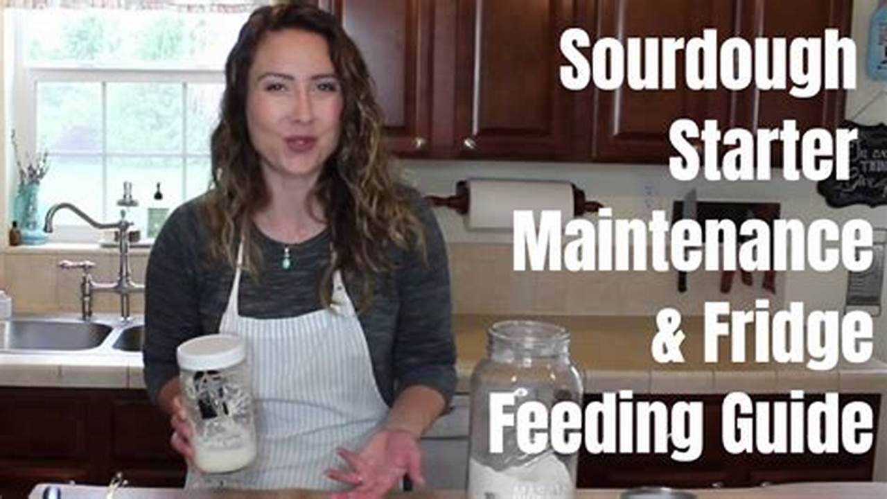Sourdough Starter 101: The "R"s of Refreshing, Reviving, and Maintaining Your Starter
