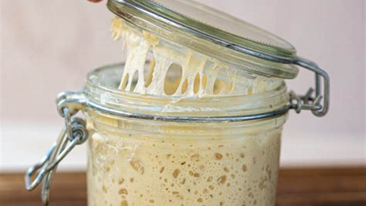 Sourdough Starter with Bread Flour: A Guide to Craft Tangy, Artisan Bread at Home