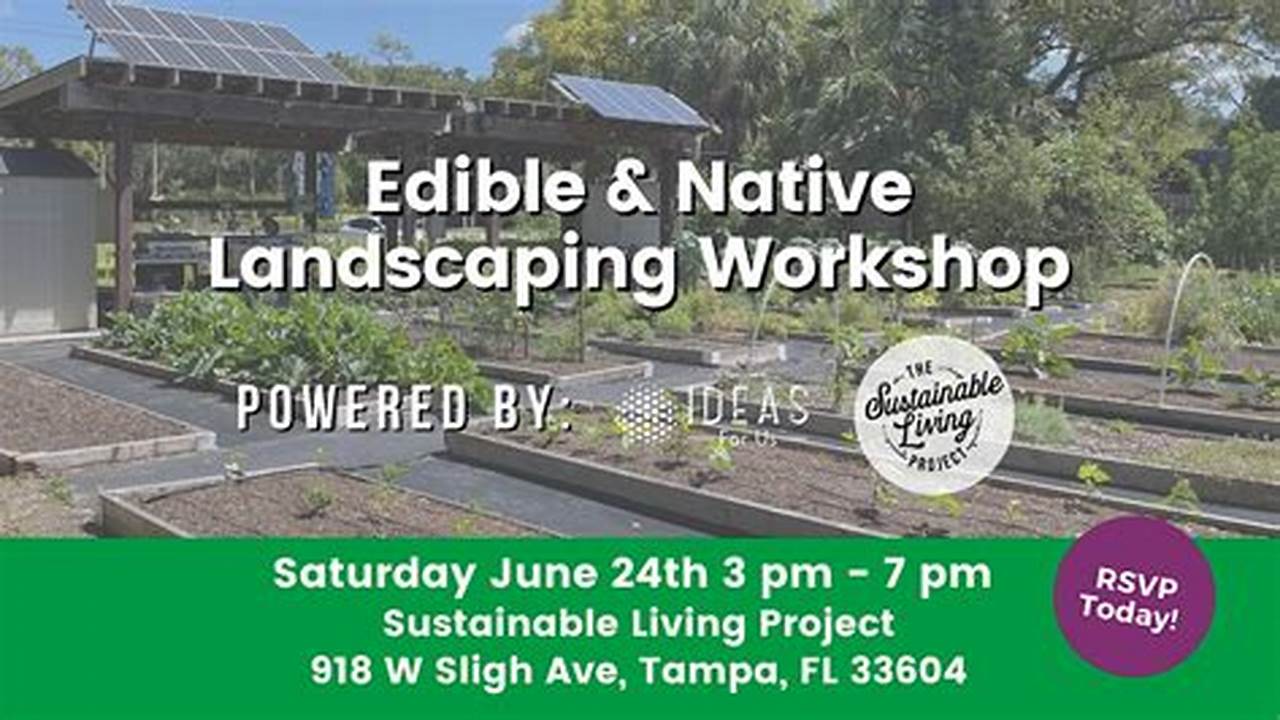 Discover Sustainable Living in Tampa: A Path to a Greener Future