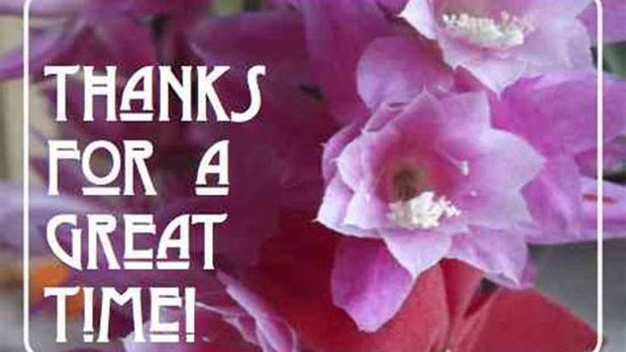 Unlock the Power of Gratitude: Discover the World of "Thank You for a Great Time Images"