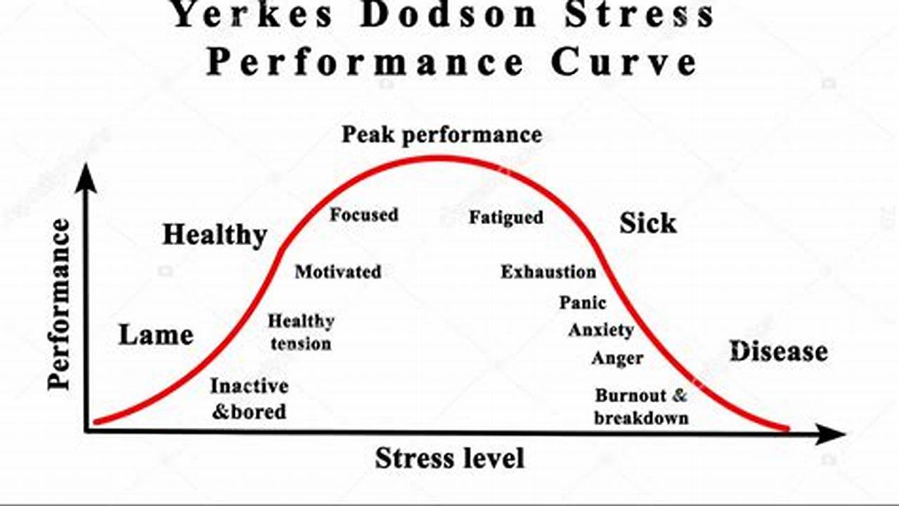 The Yerkes-Dodson Curve: Implications for Stress Management