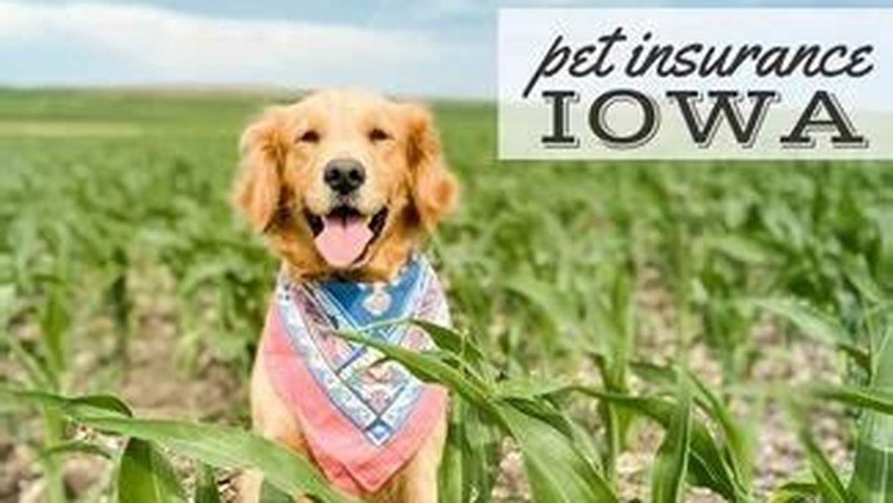 Protect Your Furry Friend on the Road: Essential Guide to Travel Pet Insurance in Iowa
