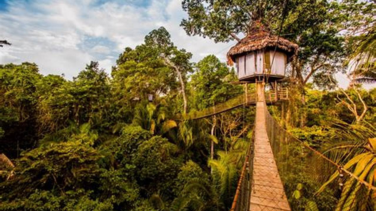 Immerse in the Amazon: A Guide to Unforgettable Tree House Stays