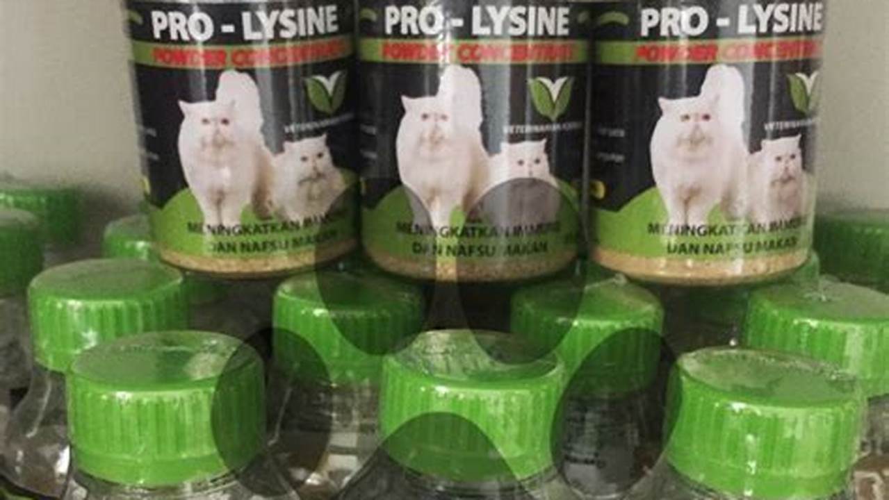 Vitamin Kucing: Nutrisi Penting untuk Kesehatan Kucing Sehat