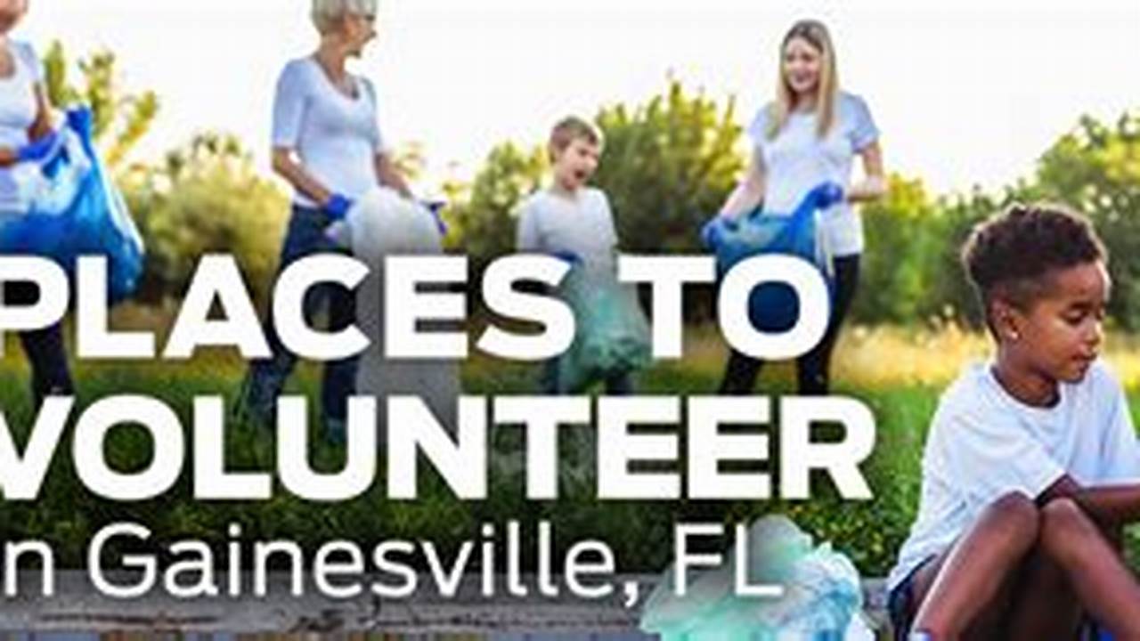 Volunteer in Gainesville: A Guide to Giving Back in the City of Champions