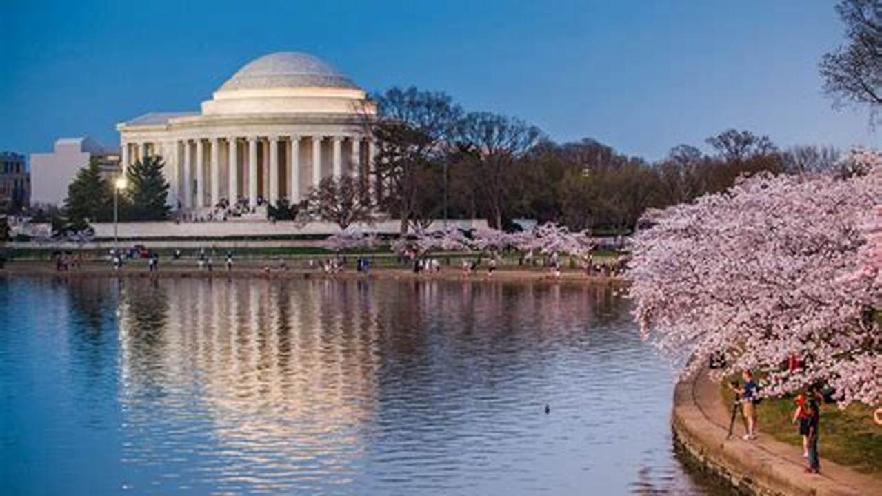 Discover the Nation's Capital: An Unforgettable Spring Break in Washington DC