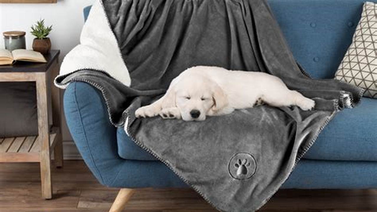Unveiling the Secrets of Waterproof Pet Blankets: Discoveries and Insights Await