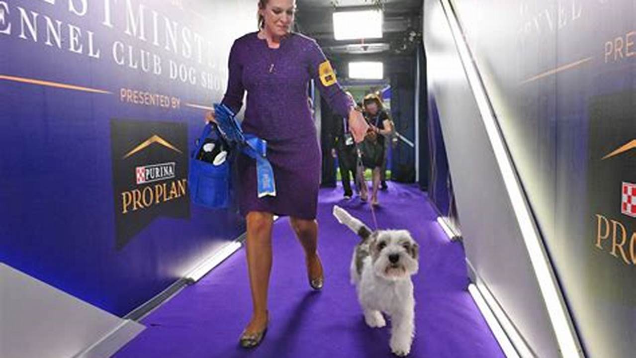 Westminster Dog Show 2024 Tickets Price