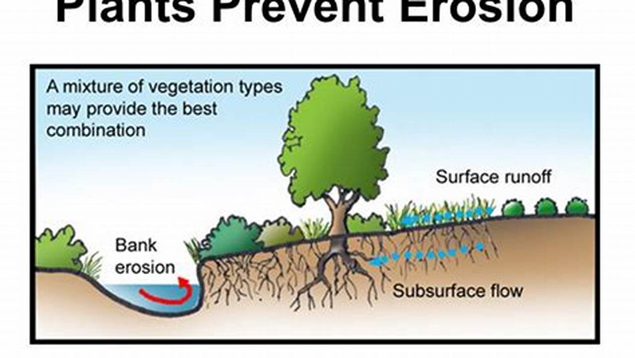 Unlock the Secrets to Slashing Erosion: Unveiling Two Essential Farming Practices