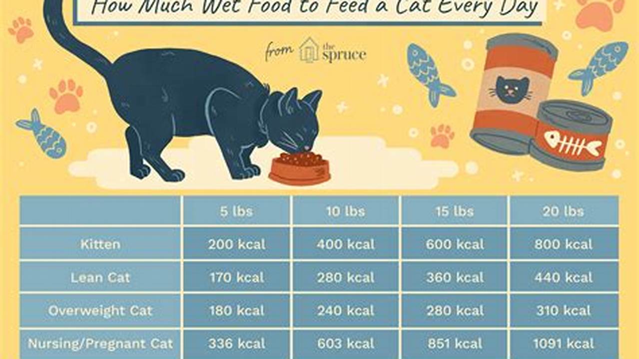 What to Feed Your Cat: A Comprehensive Guide for Feline Nutrition