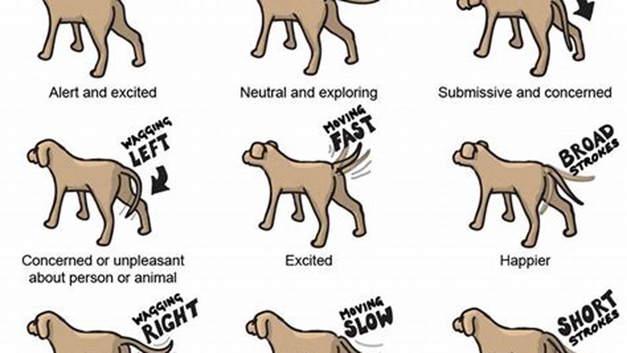 What to Do If Your Dog Vomits: A Comprehensive Guide for Pet Owners