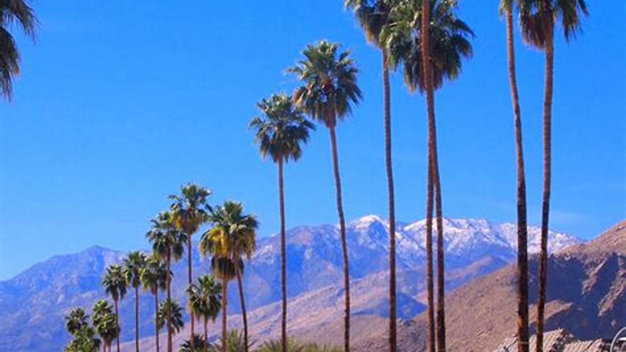 Unveiling Palm Springs' January Delights: A Traveler's Guide to Winter Adventure