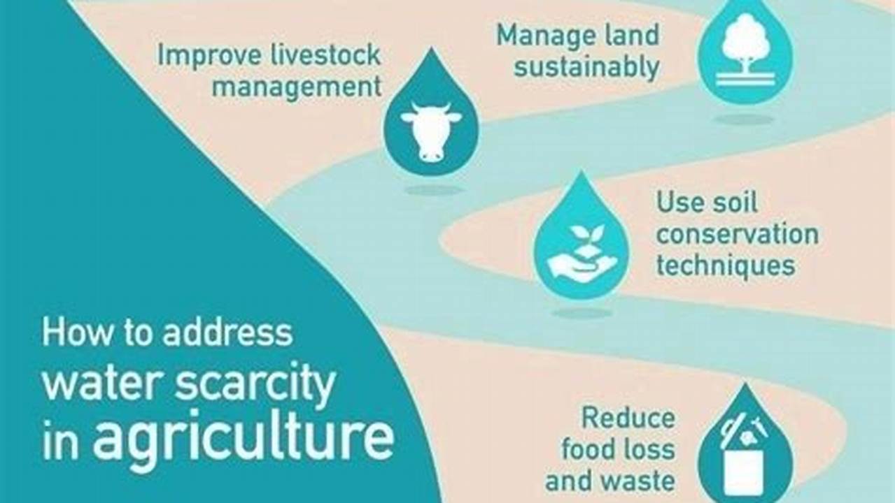 Unveiling the Most Water-Efficient Farming Practices: Discoveries and Insights