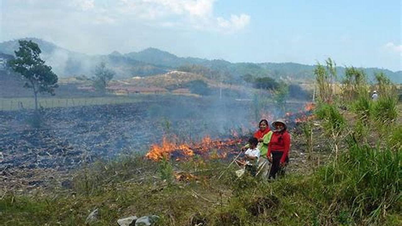 Unveiling the Risks: Why Slash and Burn Farming Must End