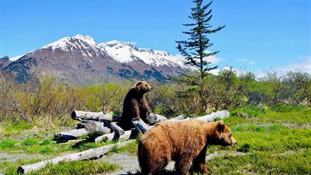 Unveil the Secrets: Wildlife Conservation in Alaska Unveiled