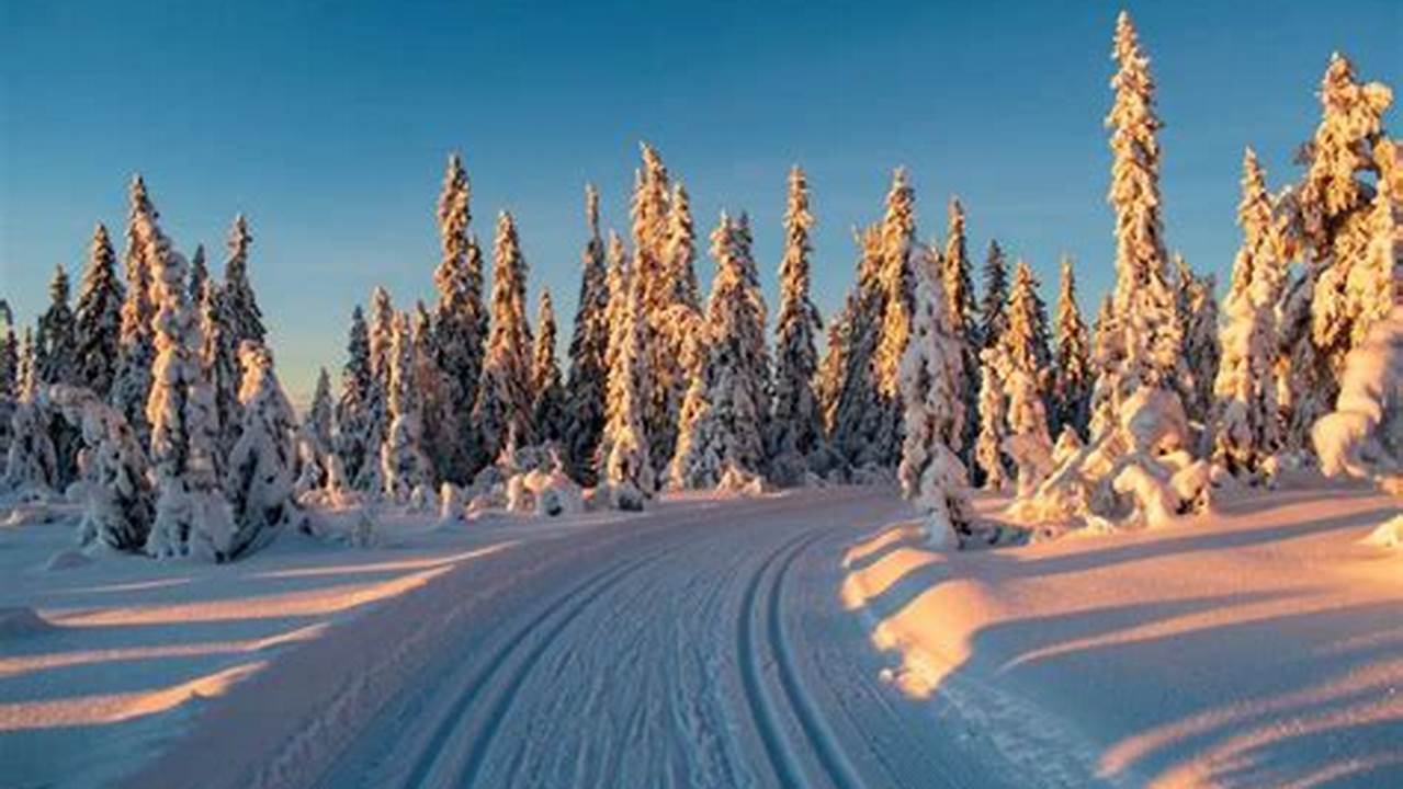 Entdecke den Winter neu: Geheimnisse und Wunder der kalten Jahreszeit