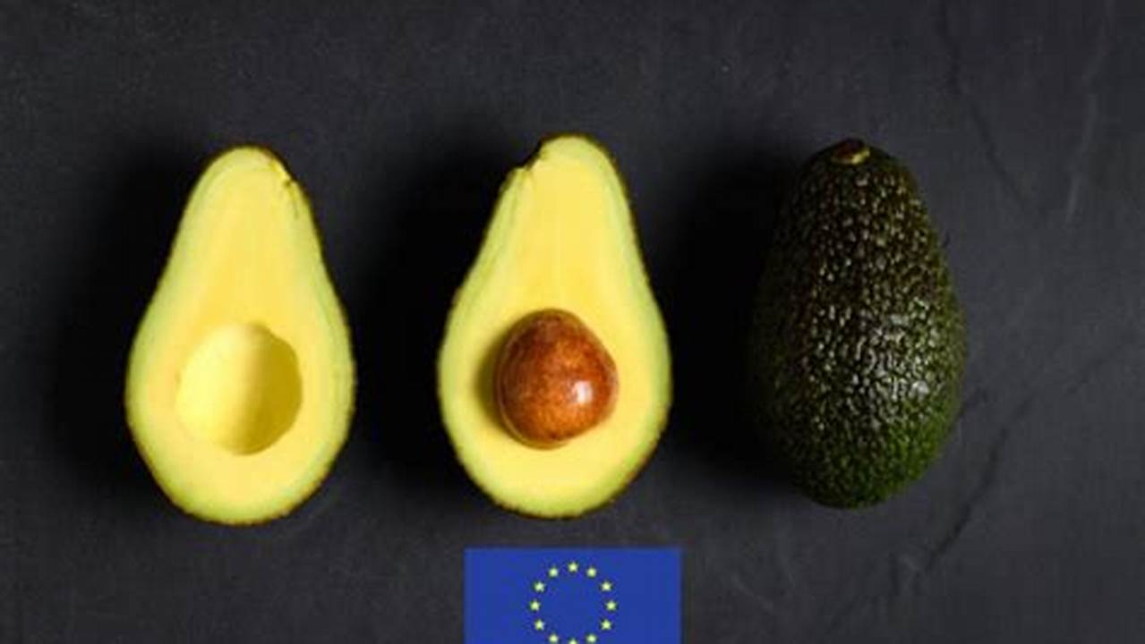 Entdecke die geheimen Anbaugebiete der Avocado