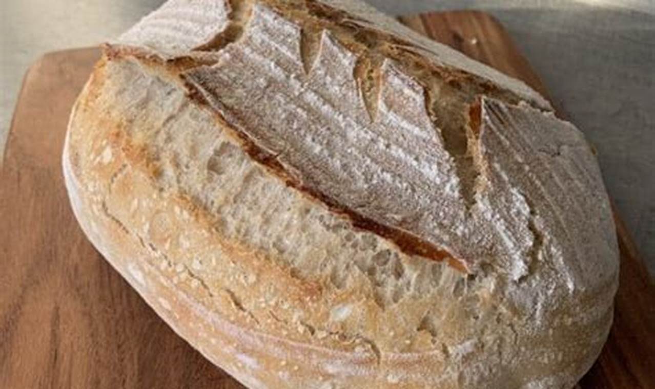 Sourdough Starter Secrets: Unraveling 150 Years of Flavor and Tradition [r]