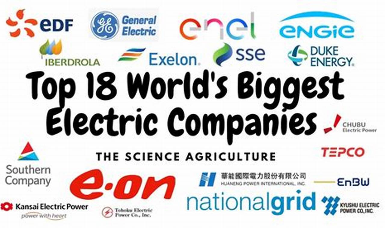 2024'S Best Rated Top Electric Companies